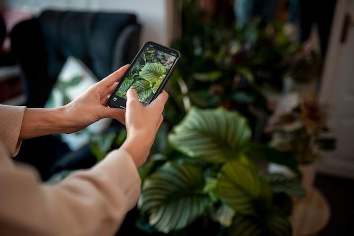 App para Identificar Plantas por el Móvil