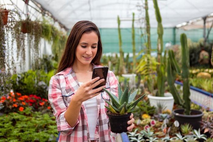 App para Identificar Plantas por el Móvil