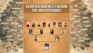 aplicación de antepasados