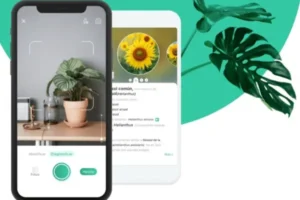 aplicación para identificar las plantas